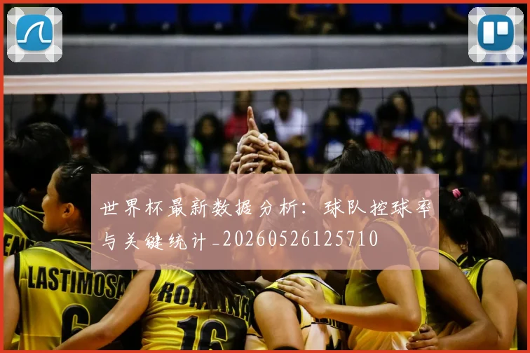 世界杯最新数据分析：球队控球率与关键统计_20260526125710