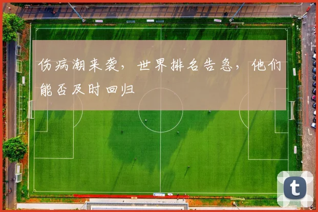 伤病潮来袭，世界排名告急，他们能否及时回归