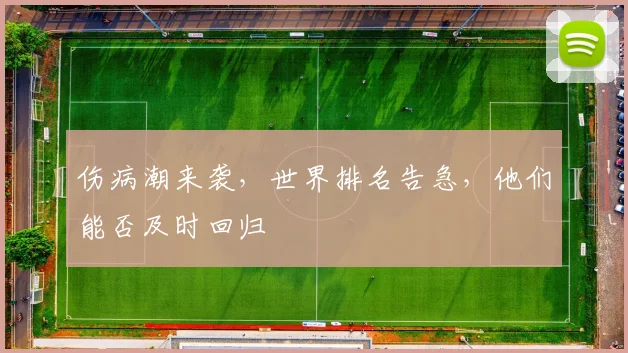 伤病潮来袭，世界排名告急，他们能否及时回归